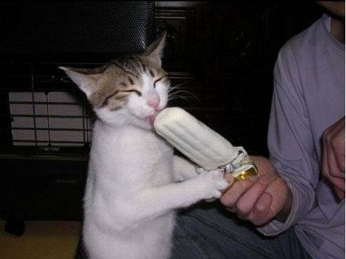 2138[1].jpg